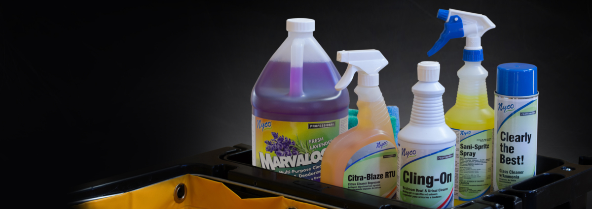 car cleaning products south africa
